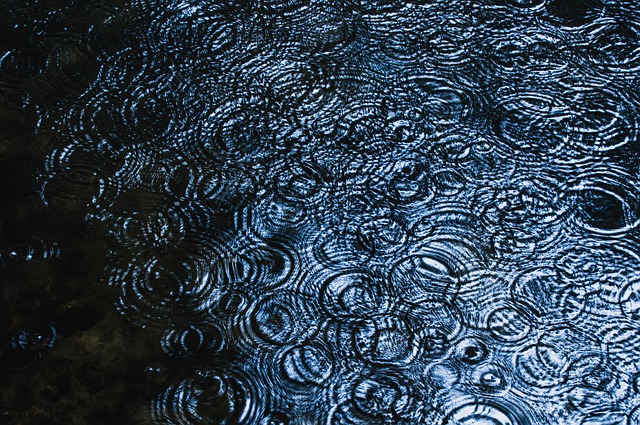 Researcher testing groundwater samples at lakeside monitoring station