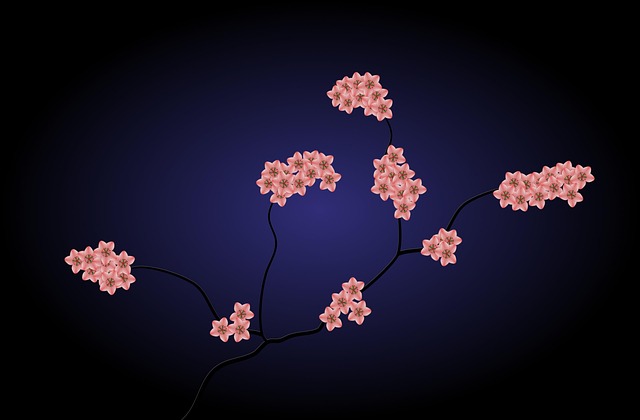 Close-up of green algal bloom in water with warning sign in background